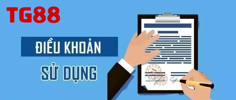 Các điều khoản quy định cụ thể về tài khoản game